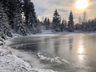 Roubenka na jelení hoře - 6