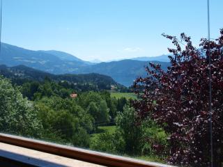 Haus am Hügel - Millstatt - 8