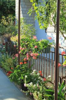 Apartments with a parking space Valbandon, Fazana - 7307 - 4