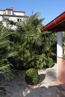 Apartments with a parking space Valbandon, Fazana - 7383 - 3