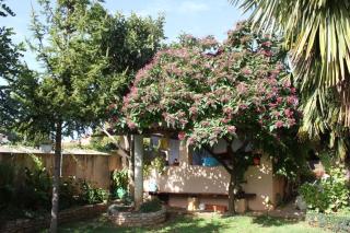 Apartments with a parking space Basanija, Umag - 7334 - 2