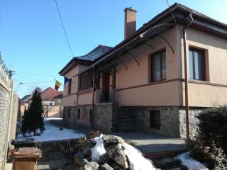 Casa Pleșca - Sibiu - 9