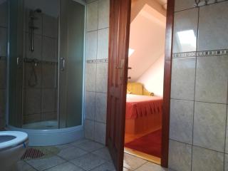 Casa Pleșca - Sibiu - 3
