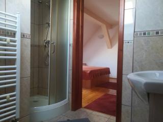 Casa Pleșca - Sibiu - 1