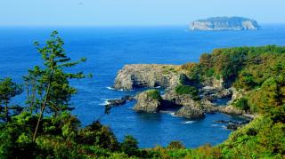 Good Day Pension - Seogwipo - 5