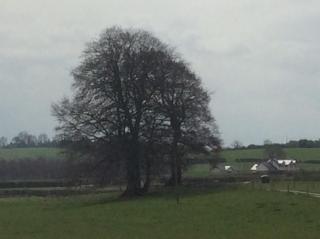 Rathgillen Lodge - Nobber - 8