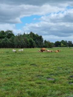 Haus Moor Merland - 2