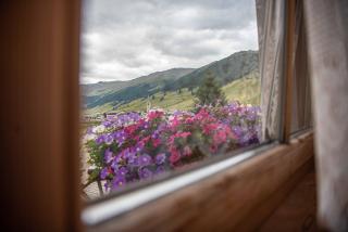 Family House Amalia Myholidaylivigno - 8