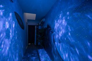 Capsule océan - Jacuzzi - Billard - Netflix - 2 Chambres - Cuisine - Valenciennes - 2