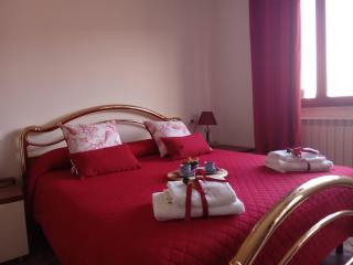 La Magnolia a 500mt dal mare - 9