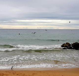 Jeannie's Oura Estrela - Albufeira - 4