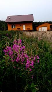 Denali Wild Stay - Bear Cabin with Hot Tub and Free Wifi, Private, sleep 6 - Healy - 4