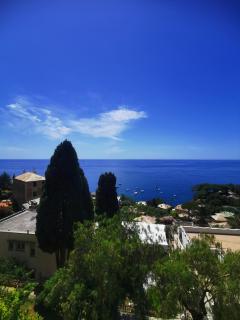 MareNostrum - Pieve Ligure - 7