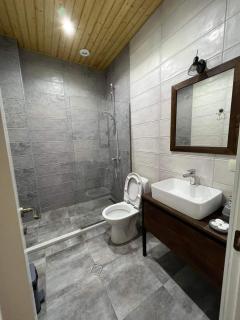 Capra Hotel Kazbegi - Kazbegi - 1