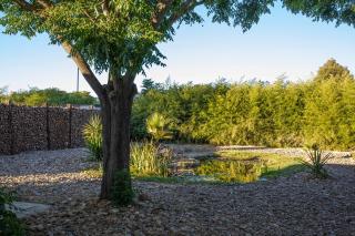 Preciosa y confortable casa de campo con piscina y chimenea - 5