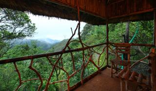 Greenwoods Resort, Thekkady - 6