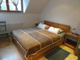 Farm Stay Dolinar Krainer - Bohinjska Bela - 5