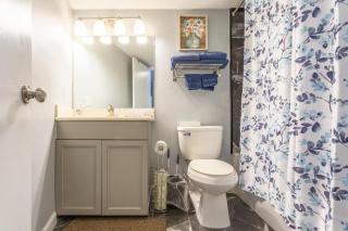 Family Bear Condos, Full King Suite, Kitchen, Pool Access Unit 103 - Gatlinburg - 3