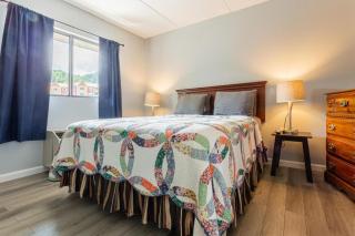 Family Bear Condos, Full King Suite, Kitchen, Pool Access Unit 103 - Gatlinburg - 5