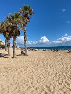 Apartament En La Sombra - Alicante - 5