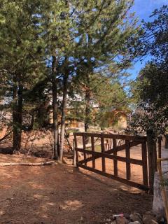 Casa Pehuenia, linda cabaña a pasos del Lago - 8