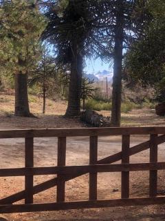 Casa Pehuenia, linda cabaña a pasos del Lago - 1