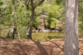 Wilderness 36 - Glen Arbor - 9
