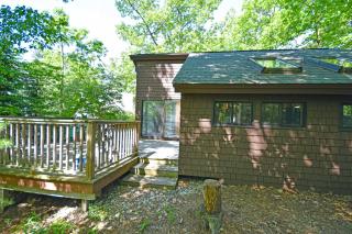 Little Brown House - Glen Arbor - 9