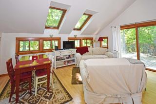 Little Brown House - Glen Arbor - 4