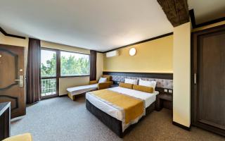 Family Hotel Bunara - Brestnik - 1