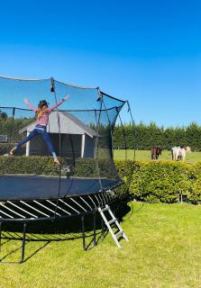 Farm Stay POPLAR Cottage at Wilindi Estate - 4