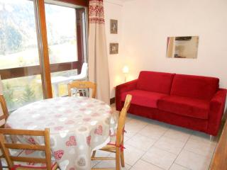 Studio confortable aux pieds des pistes avec balcon - FR-1-267-214 - 0