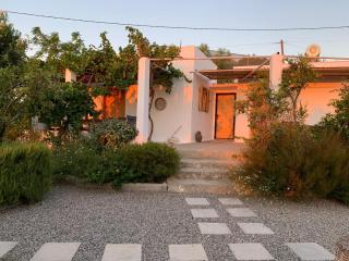 Ktima Natura - Archangelos - 3