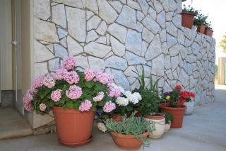 Apartments with parking space Punta kriza, Cres - 8082 - 4