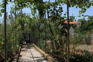 Apartments by the sea Verunic, Dugi otok - 8104 - Veli Rat - 4
