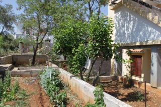 Apartments with a parking space Sali, Dugi otok - 8152 - Sali - 4