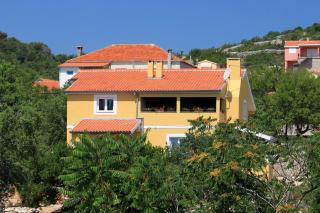 Family friendly apartments with a swimming pool Sali, Dugi otok - 8083 - Sali - 9