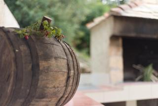 Apartments by the sea Savar, Dugi otok - 8128 - 2