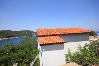 Apartments by the sea Savar, Dugi otok - 8080 - Brbinj - 8