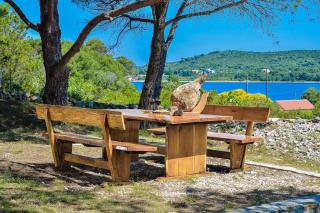 Holiday house with a parking space Veli Rat, Dugi otok - 8096 - 4
