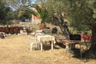 Apartments by the sea Luka, Dugi otok - 8151 - Luka - 3