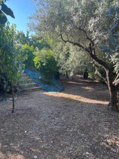 Villa 180 m2 piscine - Draguignan - 8