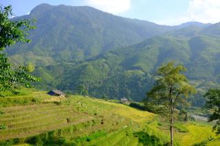 Sapa Hmong Bungalow Homestay - Sapa - 4