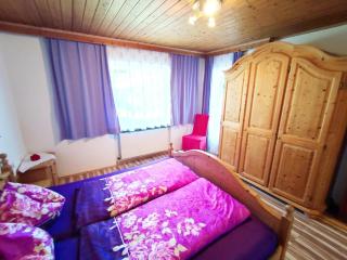 Holiday home with garden and barbecue - Hippach - 2