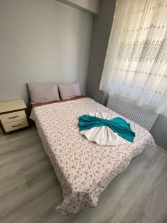 dagkent plus suit - 8