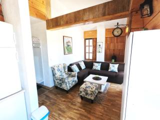 Apartman Nancy Vlašić - Vlašić - 1