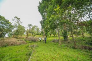 WOW Bison Woods Organic Veg Resort - Yercaud - Yercaud - 3