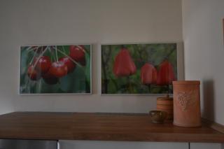 Ferienwohnung EifelMittendrin - Waxweiler - 3