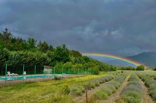 CAMPING ONLYCAMP CHAMARGES - Die - 5