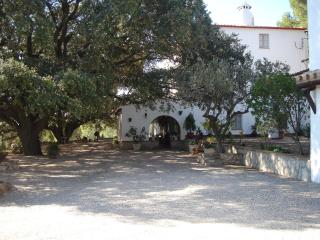 Masia Rural Les Alsines - Valls - 0